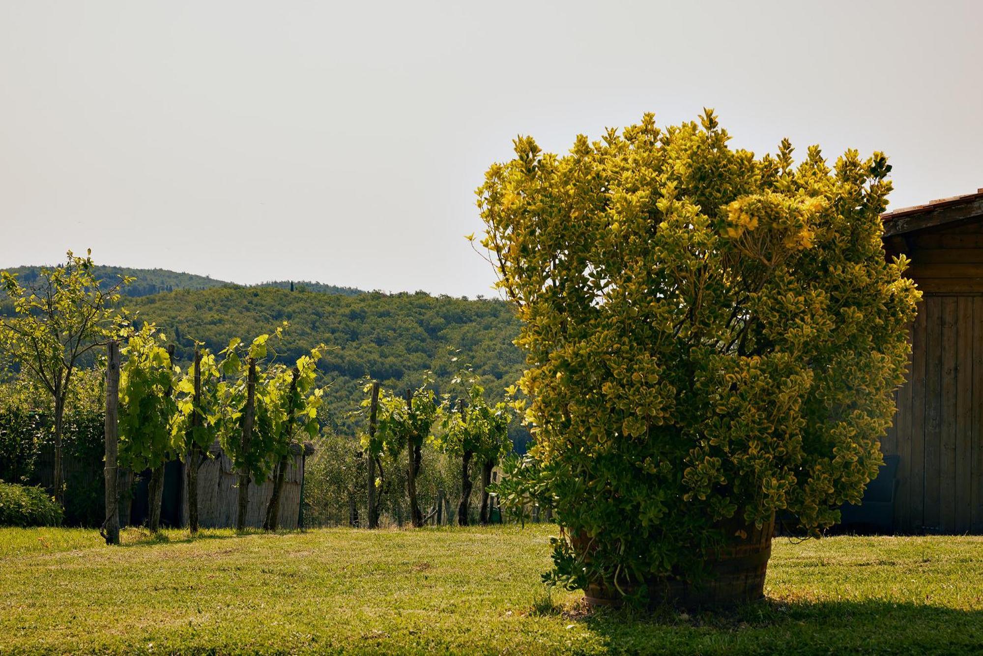 Tenuta Il Poggetto Radda in Chianti Eksteriør billede
