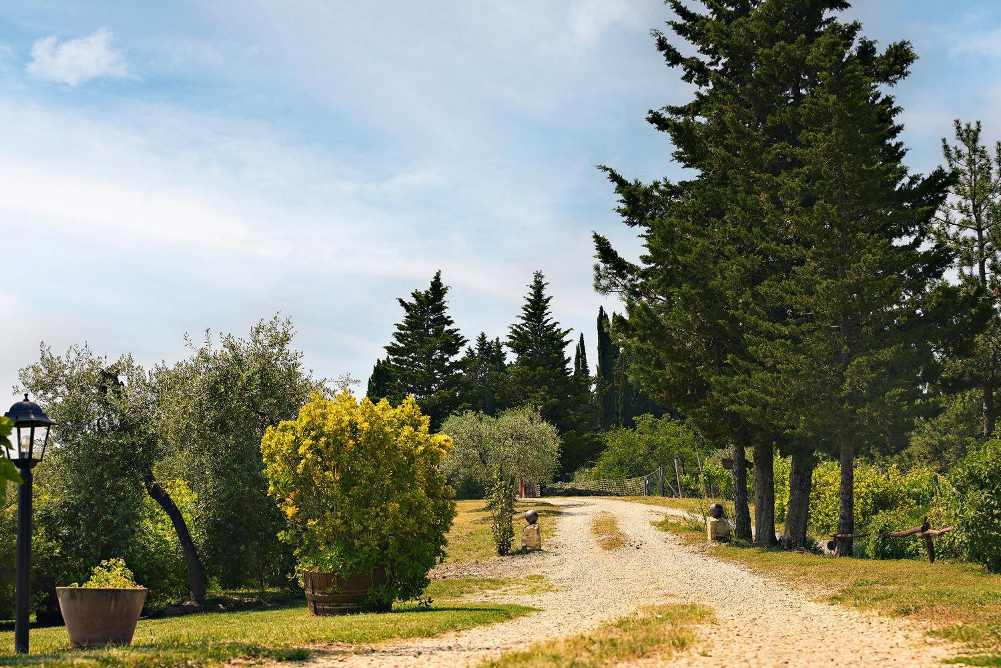 Tenuta Il Poggetto Radda in Chianti Eksteriør billede